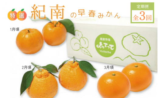 【先行予約】【定期便】特撰 紀南の早春みかん3回コース（ポンカン5kg、不知火3kg、紅八朔柑5kg）【期間限定：2025/12/15まで】  / 田辺市 よってって みかん ポンカン 温州みかん 紅八朔  3回コース【prs003-tk】
