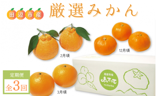 【先行予約】【全3回定期便】紀州田辺産　厳選みかん３回コース【期間限定：2025/11/30まで】 / 田辺市 よってって みかん 不知火 温州みかん 清見柑 しらぬい きよみ ミカン 温州ミカン 3回コース【prs004-tk】