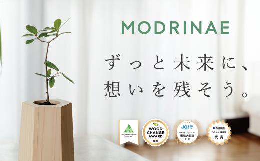 【どんぐりを育て、森に返す】 戻り苗 （ヒノキの鉢タイプ） 1セット ※2025年秋頃から配送 / 観葉植物 苗 苗木 植物 育苗 鑑賞 鉢植え 和歌山 どんぐり 紀州材 檜 ソマノベース 森【smn001】