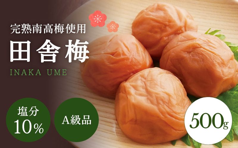 【A級品】紀州南高梅 田舎梅 500g 塩分10％ / 梅干し 梅干 うめぼし 南高梅 国産 梅 うめ ウメ 完熟 健康 ご飯のお供 昔ながら 贈り物 ギフト プレゼント お取り寄せ せんのうめ 和歌山県 田辺市 仙宝【spo008】