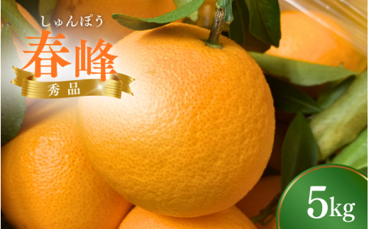 【先行予約】 春峰（しゅんぽう/はるかぜ） 5kg （2026年2～3月頃から順次発送予定） / みかん 和歌山蜜柑 和歌山ミカン 高級みかん 人気みかん みかんランキング 果物 くだもの フルーツ 柑橘 蜜柑 産地直送 国産 和歌山 【tcs010】