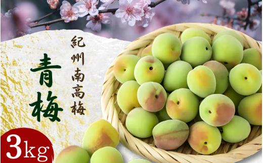【先行予約】 青梅【紀州南高梅】 3kg（2026年5月～6月以降順次発送予定） / 生梅 梅干し 梅酒 梅ジャム 梅シロップ 産地直送 国産 和歌山 【tcs021】