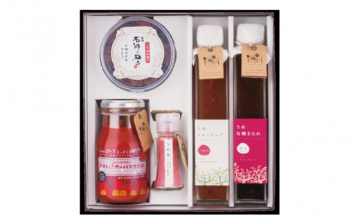 新うめ三昧セット(梅干、ドレッシング、うめ旨やきたれ、うめ塩、トマトとうめのパスタソース) / 和歌山 田辺市 紀州南高梅 南高梅 梅干し 梅干 梅 うめ 肉厚 お米 おにぎり 焼酎 梅酒 健康 うす塩味 はちみつ梅 みかん梅 うめドレッシング ドレッシング 梅塩 うめ塩 パスタソース パスタ セット 詰合せ[isg032-1]