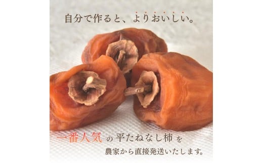 甘さが違う！とっても甘くなる生渋柿（平たねなし柿）吊るし柿用 T字枝or吊るしクリップ付 約2.5～3kg 約9～18個 １０月下旬～順次発送）(日付指定不可) -Ted【art040】