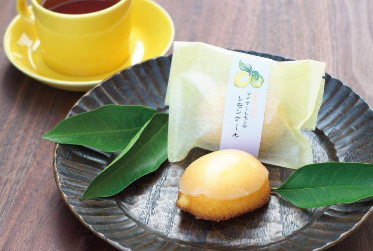 レモンケーキ 8個入り 爽やかな香り！マイヤーレモン使用 スイーツ 菓子 お菓子 ギフト【fks109A】