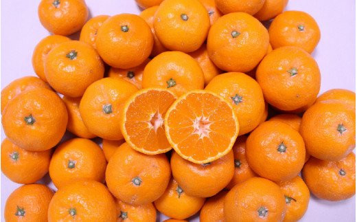 田村みかん並みの甘さ！ こだわりの和歌山県産 有田みかん 5kg（S～Lサイズおまかせ） ひとつひとつ手選別で厳選！生産者から直送 【2025年11月下旬～1月中旬ごろに順次発送予定】 | みかん フルーツ 果物 くだもの 有田みかん 蜜柑 柑橘【hdm005】