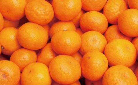 厳選　超熟有田みかん5kg+150g（傷み補償分）【自分史上一番みかん】【菊みかん入り】【光センサー選別】＜11月上旬より順次発送予定＞【ikd018A】