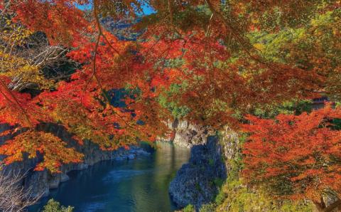 瀞峡めぐり乗船券（子ども1名分） 体験 チケット 田舎 船【kbn004】