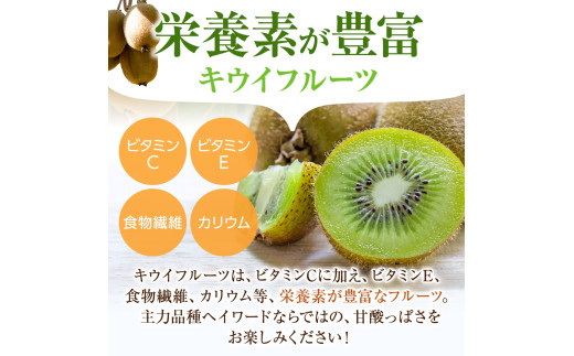 【先行予約】 先行予約！和歌山県産 秀品 キウイフルーツ 大玉15個入 こだわり農家厳選  【2025年12月初旬頃から2026年1月中旬頃順次発送】/ キウイ キウイフルーツ 果物 フルーツ おやつ【kgr021】