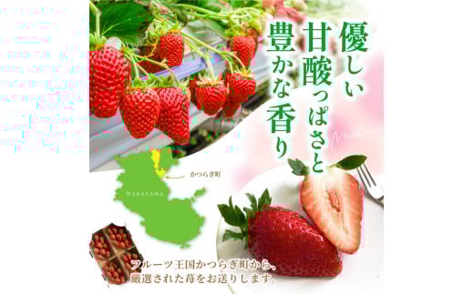 【先行予約】まりひめイチゴ4パック 食べやすいひと口サイズ M～L（15粒～20粒入×4パック）【2026年1月初旬～3月下旬頃に順次発送】（お届け日指定不可）/ いちご 苺 まりひめ 和歌山 フルーツ【kgr034】