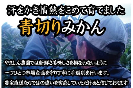 【2026年秋頃発送予約分】【農家直送】こだわりの青切りみかん 約10kg  有機質肥料100%　 サイズ混合　※2026年9月下旬～10月より順次発送予定（お届け日指定不可）【nuk108F】