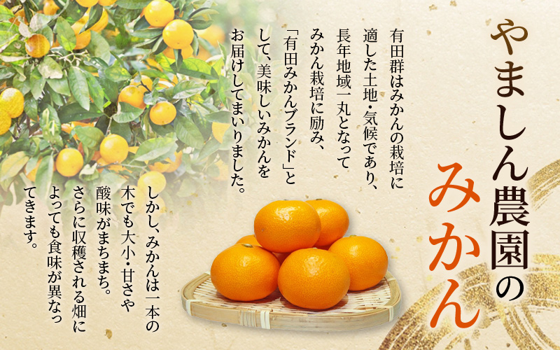 極 有田みかんプレミアム 約5kg【光センサー 高糖度選別品】2S～Lサイズ【nuk155F】