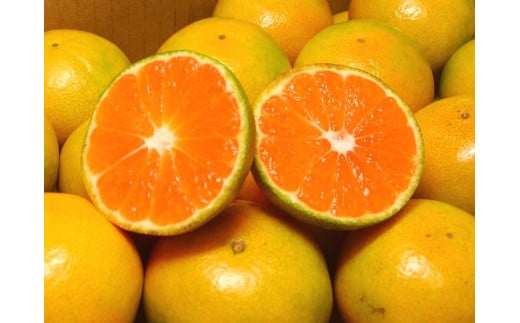 濃厚な味わい ご家庭用 ゆら早生みかん　約4kgサイズ混合【2026年10月上旬～11月より発送】希少品種《有機質肥料100％》※2025年10月上旬より順次発送予定【nuk162B】