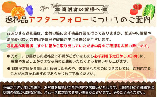 セミノールオレンジ 約5kg / サイズおまかせ　※2026年4月中旬～2026年5月下旬頃に順次発送予定(お届け日指定不可)　紀伊国屋文左衛門本舗　【sgtb481B】