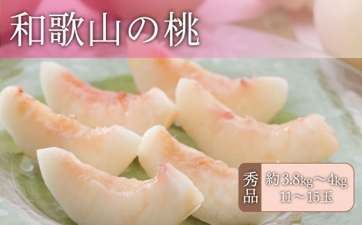 和歌山の桃 秀品 [約3.8～4kg] (サイズ・品種おまかせ) ※2026年6月中旬～2026年8月中旬頃に順次発送予定　紀伊国屋文左衛門本舗 和歌山 もも モモ 桃 果物 フルーツ 人気 産地直送 和歌山県 お取り寄せ【sgtb800B】