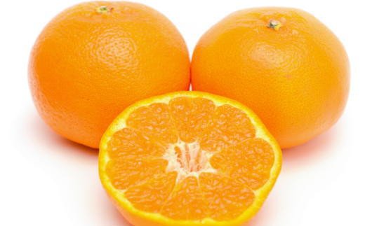 【厳選・濃厚】紀州有田産のはるみ約4kg(2L～3Lサイズおまかせ) ※2026年1月下旬～2026年2月中旬頃より順次発送 【tec820B】