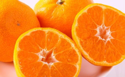 【訳あり・ご家庭用】和歌山由良町産のみかん約10kg（サイズおまかせ）※2025年11月下旬～2025年12月下旬頃に発送予定（お届け日指定不可）【tec878B】