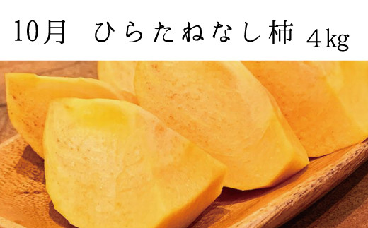 【3か月定期便】【全3回定期便】秋の味覚 果物定期便　柿・みかん　旬のフルーツを毎月お届け♪ 定期便 みかん 柿【tkb130】