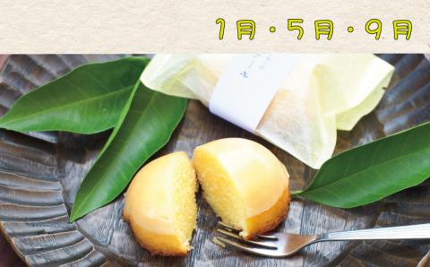 定期便 【新宮市】スイーツセット　4回 定期便 ケーキ マイヤーレモン レモン 焼菓子 和菓子 サブレ まんじゅう 饅頭 ミルク みかん ご当地【tkb137】