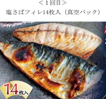 【全4回】家族みんなで楽しめる＼たっぷり容量ならコレ／絶品おかず定期便（さば・鰻・サケ・海鮮丼）【tkb305】