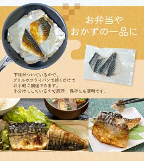 【全12回定期便】骨無し 無添加 塩さば 切身 約1.25kg（250g×5パック 20枚）/ さば 塩さば 冷凍 おかず 魚 お魚 魚介 海鮮 安心 人気 大容量 小分け ごはんのお供 ふっくら やわらか 美味しい 焼き魚 骨なし 定期便【tkb323A】