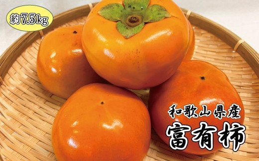 和歌山秋の味覚　富有柿　約7.5kg　/ 果物 フルーツ 柿 旬 人気 先行予約【uot702A】