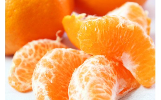 果肉ぷりぷり!完熟はるみ5kg　※2026年2月中旬頃～2026年2月下旬頃に順次発送予定(お届け日指定不可) 【uot732】