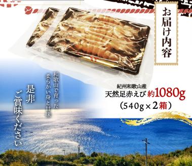 紀州和歌山産天然足赤えび540g×2箱（270g×4パック）化粧箱入 ※2025年11月末頃～2026年1月下旬頃順次発送予定（お届け日指定不可）／海老 エビ えび クマエビ天然【uot773A】