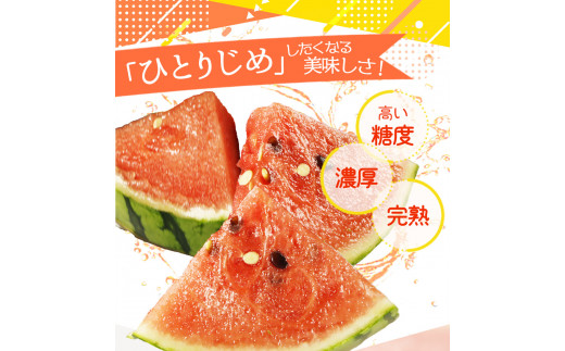 紀州和歌山産小玉スイカ「ひとりじめ」１玉【予約】※2026年6月上旬頃～7月上旬頃に順次発送予定(お届け日指定不可) スイカ すいか 果物【uot778】