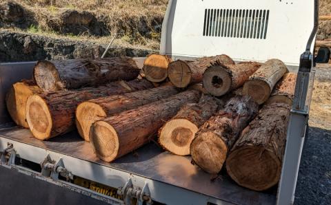 キャンプや焚火にぴったり！熊野薪 13kg キャンプ アウトドア 薪【yrd001】