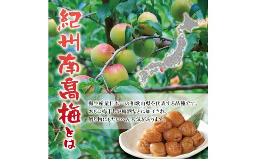 紀州南高梅 木箱入り 南紀老梅【ハチミツ入】 塩分10%（1kg）なかやまさんちの梅干 梅干し 梅干 梅 はちみつ 蜂蜜【nky012-10k】