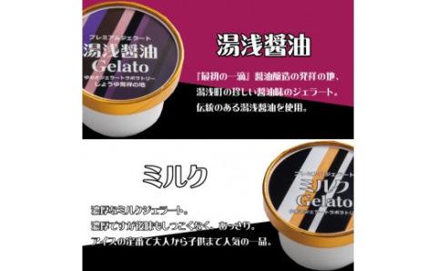 プレミアムジェラート 詰め合わせセット（6種類×2個） アイスクリームセット 100mlカップ ゆあさジェラートラボラトリー アイス ミルク 牛乳 梅 茶 お茶 チョコ 醤油 塩【sgtb701】