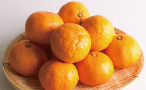 厳選　超熟有田みかん5kg+150g（傷み補償分）【自分史上一番みかん】【菊みかん入り】【光センサー選別】＜11月上旬より順次発送予定＞【ikd018A】