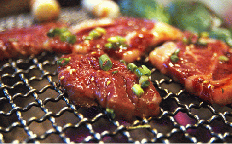 プレミアム熊野牛 焼肉 ４８０ｇ / 牛肉 肉 牛 焼き肉 和牛 牛 贈り物 【kbs005】