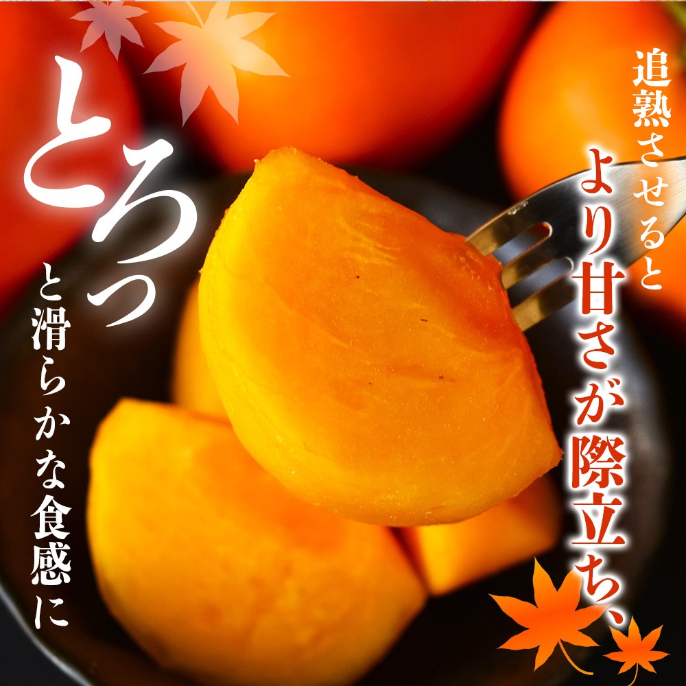 【先行予約】種無し柿 刀根早生柿 秀品大玉 約1.8kg（6個） 2026年9月末頃～10月末頃に順次発送予定（お届け日指定不可）/ 柿 かき 種無し 秀品 大玉 フルーツ 果物 くだもの【kiy002A】