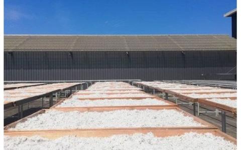 茹でたて釜揚げしらす　1kg(250g×4パック)【冷蔵】無添加・無着色 / しらす シラス 釜揚げ 小分け 冷蔵【mar101】