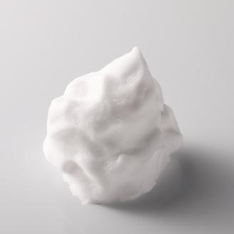 セルグレース W クレンジング フォーム  / 保湿 洗顔料 メイク落とし 植物成分 化粧品 高級【nrs002】