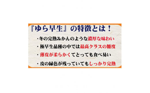 濃厚な味わい ご家庭用 ゆら早生みかん　約4kgサイズ混合【2026年10月上旬～11月より発送】希少品種《有機質肥料100％》※2025年10月上旬より順次発送予定【nuk162B】