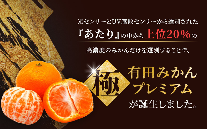 【先行予約】 ＼光センサー選別／極 有田みかんプレミアム 約3.5kg【光センサー 高糖度選別品】2S～Lサイズ 有機質肥料100% ※2025年11月下旬頃～2026年1月上旬頃に順次発送予定 ※北海道・沖縄・離島への配送不可 【nuk168A】