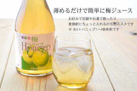 希釈用梅ドリンク 梅ハニップ 完熟梅ハニップ 各3本セット 【prm022A】