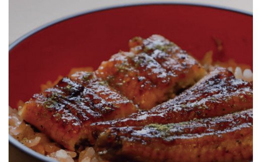 極上！国産うなぎ蒲焼 1尾（約200g） 創業100年以上続く老舗 紀州備長炭でじっくり焼き上げた専門店の味 （タレ・山椒付き）/ うなぎ ウナギ 鰻 蒲焼 国産 ふるさと納税【skr001A】