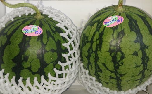 【産地直送】和歌山産小玉すいか「ひとりじめ7(セブン)」2玉入り　3.5kg以上　※2026年6月下旬～2026年7月中旬頃に順次発送【tec501C】