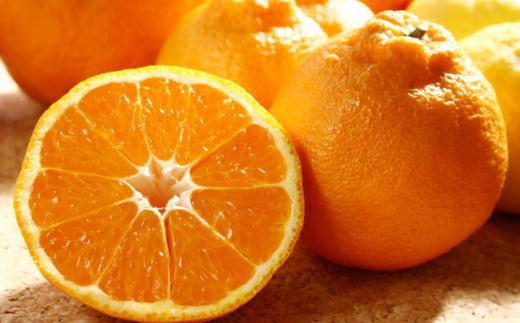 【濃厚】有田の不知火約5kg（12玉～20玉おまかせ） ※2026年2月中旬～2026年4月中旬頃順次発送予定 【tec861A】