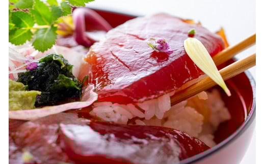 天然 びん長生マグロ 500g 鮮度抜群の生まぐろをお届けします / 生鮪 鮪 マグロ 生まぐろ ビンチョウマグロ 刺身【tka017A】