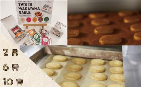 定期便 【新宮市】スイーツセット　4回 定期便 ケーキ マイヤーレモン レモン 焼菓子 和菓子 サブレ まんじゅう 饅頭 ミルク みかん ご当地【tkb137】