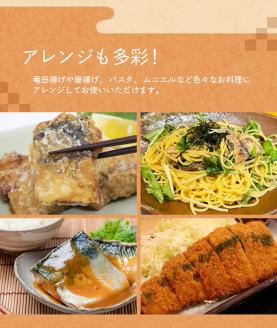 【全12回定期便】骨無し 無添加 塩さば 切身 約1.25kg（250g×5パック 20枚）/ さば 塩さば 冷凍 おかず 魚 お魚 魚介 海鮮 安心 人気 大容量 小分け ごはんのお供 ふっくら やわらか 美味しい 焼き魚 骨なし 定期便【tkb323A】