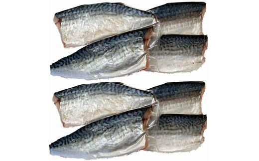 塩さばフィレ14枚入（真空パック入） / さば 鯖 おかず 冷凍 魚 切り身 焼き魚 焼魚 切身 【uot403B-1】