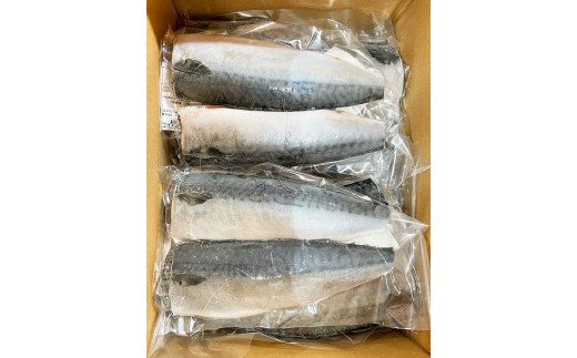 塩さばフィレ２４枚入(真空パック入)  / さば 鯖 おかず 冷凍 魚 切り身 焼き魚 焼魚 切身【uot742B-1】