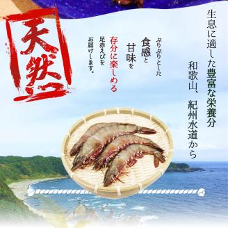 紀州和歌山産天然足赤えび540g×2箱（270g×4パック）化粧箱入 ※2025年11月末頃～2026年1月下旬頃順次発送予定（お届け日指定不可）／海老 エビ えび クマエビ天然【uot773A】