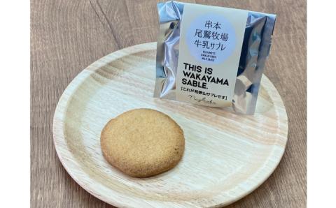 THIS IS WAKAYAMA SABLE サブレ 計30枚入り / サブレ ご当地 南高梅 有田みかん 醤油 緑茶 牛乳【dnk001A】